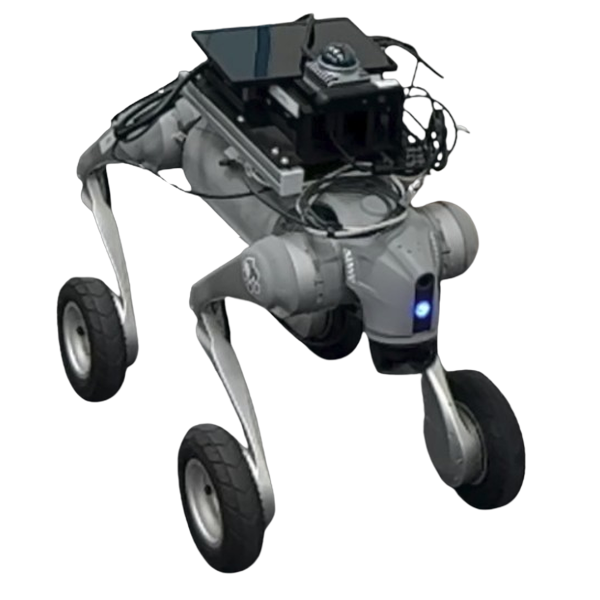 robot dog