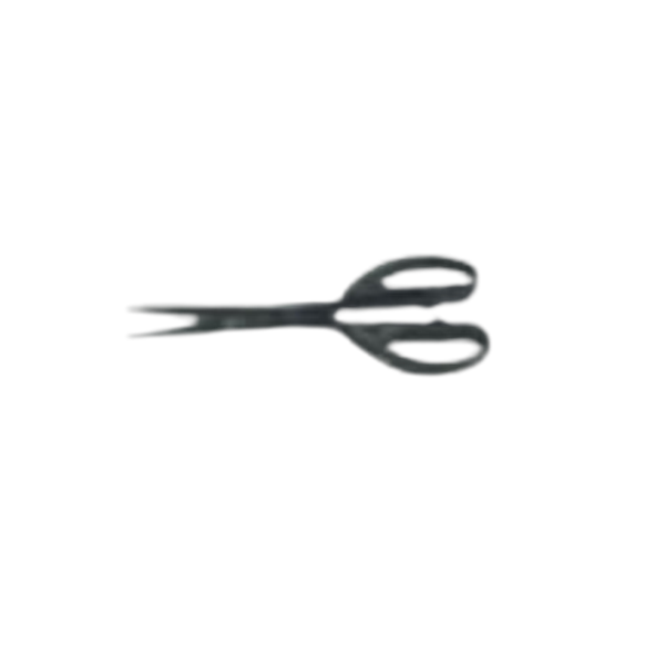 scissor